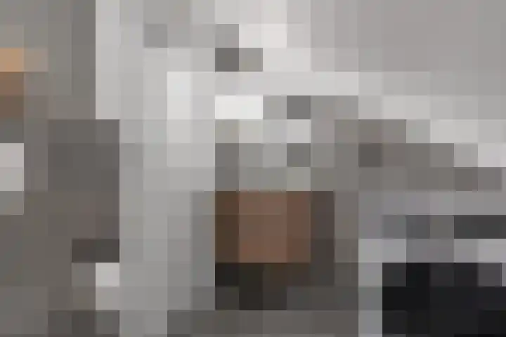 Mikonospad 36 Amsterdam thumbnail 29