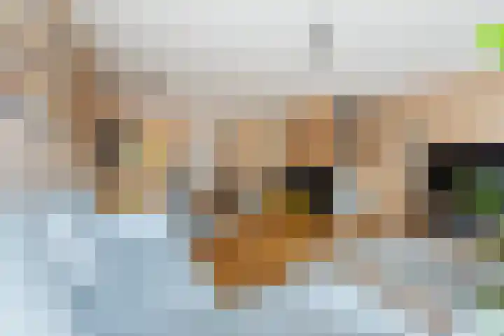 Mikonospad 36 Amsterdam thumbnail 9