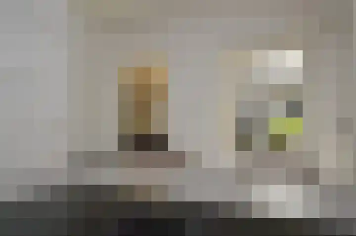 Milhezerweg 21 Deurne thumbnail 13