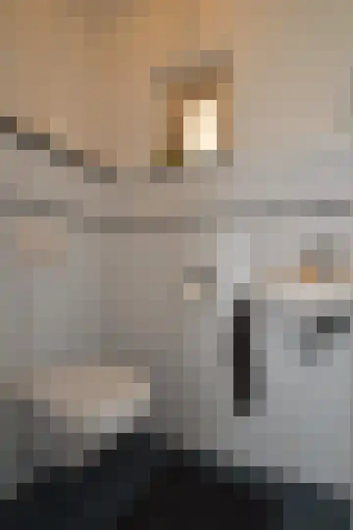 Milhezerweg 21 Deurne thumbnail 19