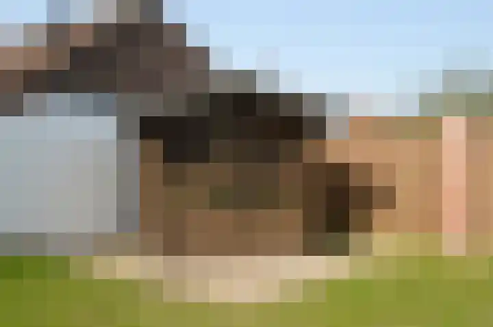 Milhezerweg 21 Deurne thumbnail 32
