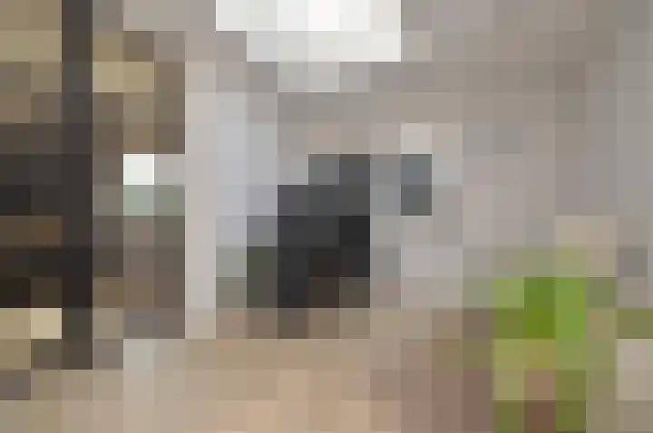 Milhezerweg 21 Deurne thumbnail 5
