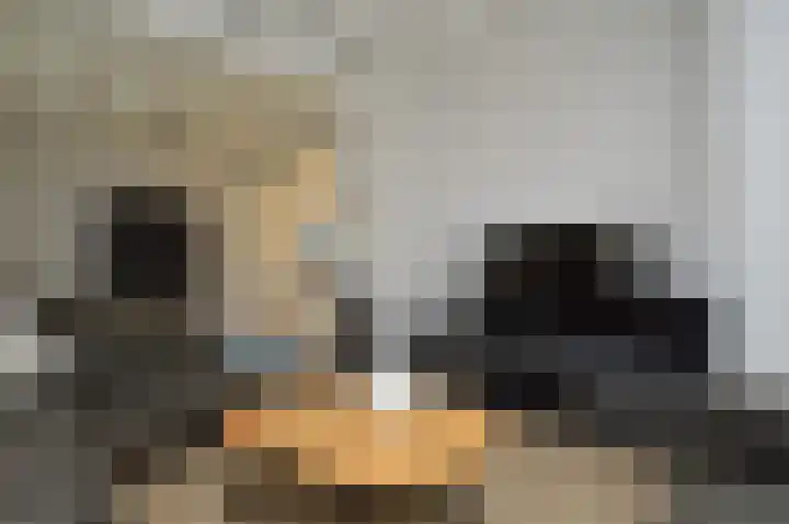 Milhezerweg 21 Deurne thumbnail 9