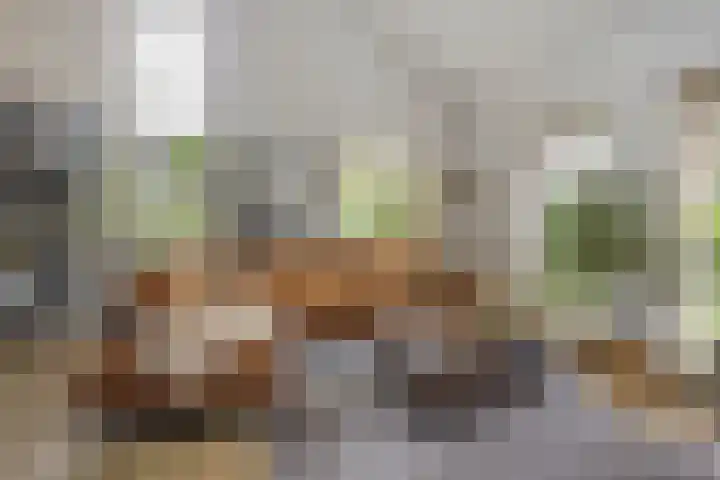 Milhoes 2 Mildam thumbnail 16