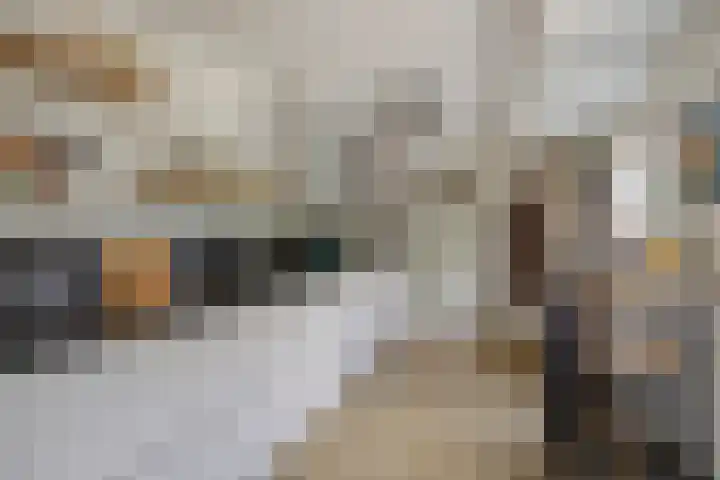 Milhoes 2 Mildam thumbnail 20