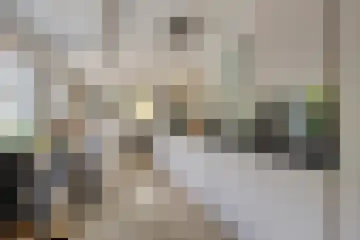 Milhoes 2 Mildam thumbnail 21