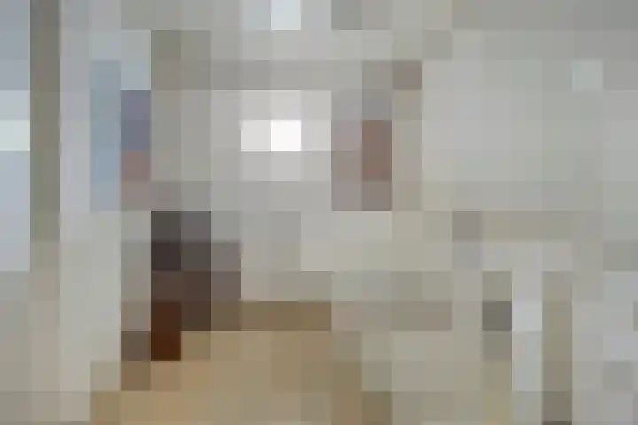 Milhoes 2 Mildam thumbnail 26