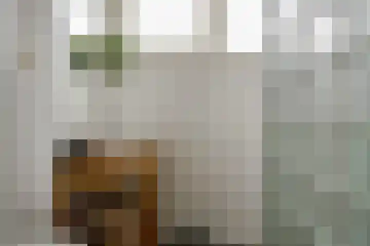 Milhoes 2 Mildam thumbnail 28