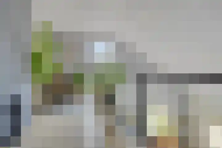 Milhoes 2 Mildam thumbnail 30