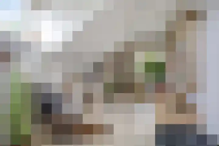 Milhoes 2 Mildam thumbnail 40