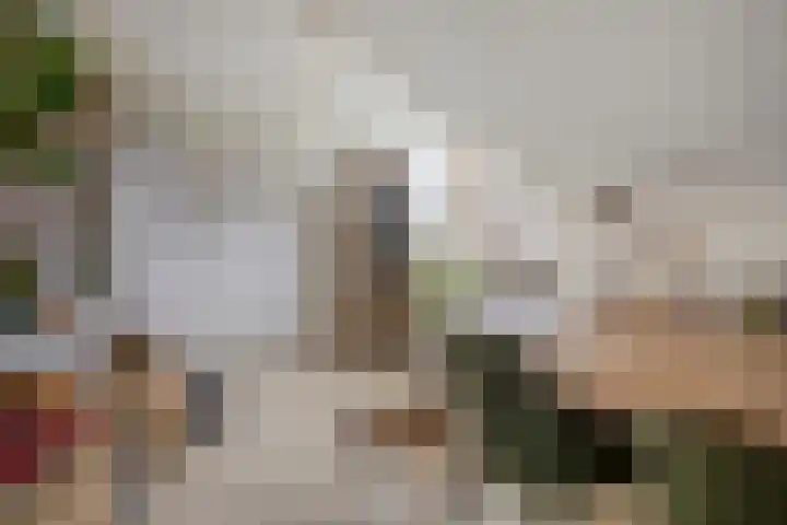 Milhoes 2 Mildam thumbnail 41