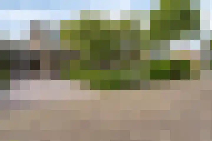 Milhoes 2 Mildam thumbnail 43