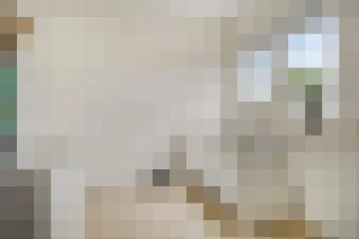 Milhoes 2 Mildam thumbnail 44