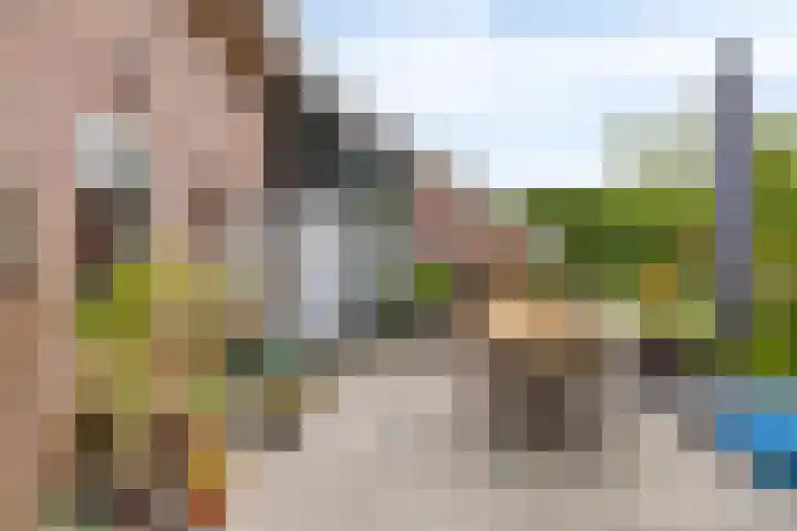 Milhoes 2 Mildam thumbnail 47