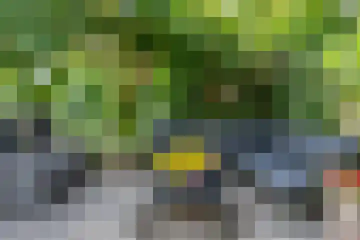 Milhoes 2 Mildam thumbnail 48