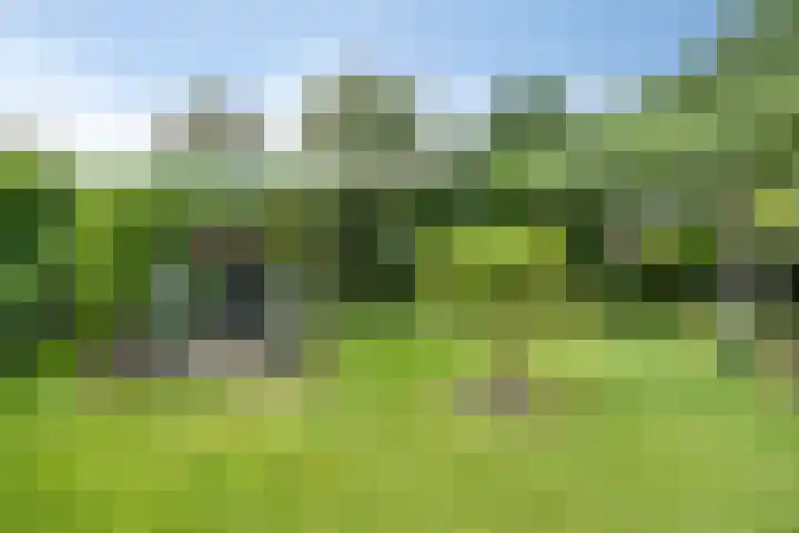 Milhoes 2 Mildam thumbnail 49