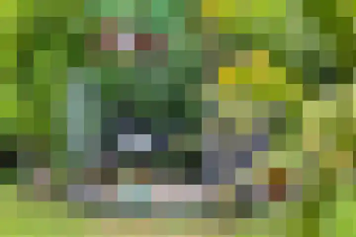 Milhoes 2 Mildam thumbnail 52