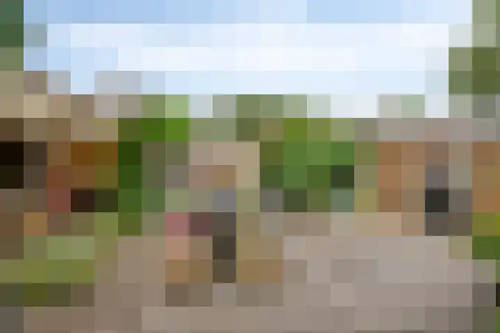 Milhoes 2 Mildam thumbnail 54