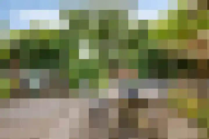Milhoes 2 Mildam thumbnail 56