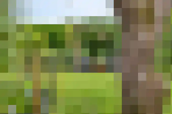 Milhoes 2 Mildam thumbnail 57