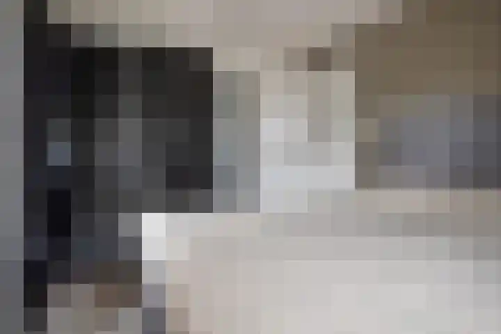 Milhoes 2 Mildam thumbnail 6