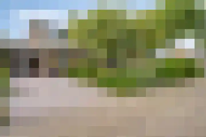 Milhoes 2 Mildam thumbnail 64