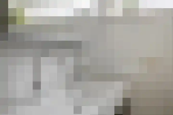 Milhoes 2 Mildam thumbnail 8