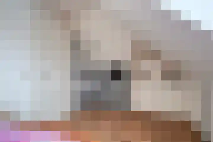 Millekens 10 Milheeze thumbnail 27