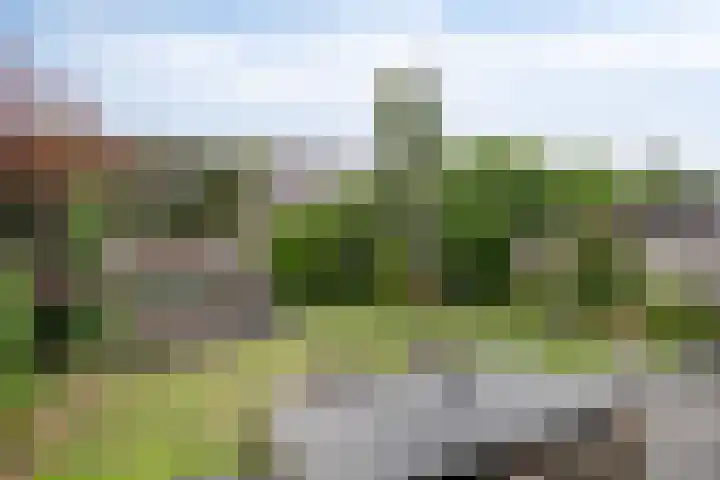 Millekens 10 Milheeze thumbnail 30