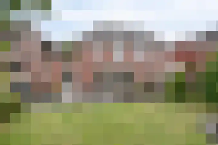 Millekens 10 Milheeze thumbnail 33