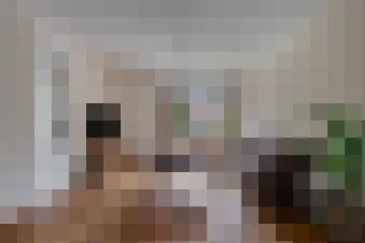 Millekens 10 Milheeze thumbnail 4