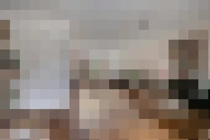 Millekens 10 Milheeze thumbnail 6
