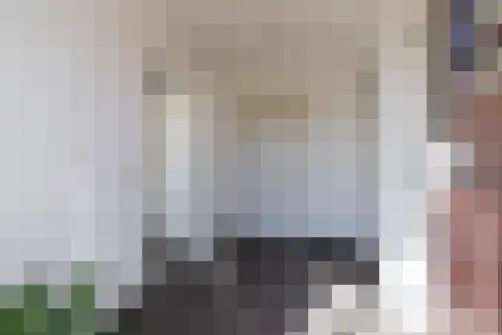 Millinghaweg 14 Niekerk thumbnail 10