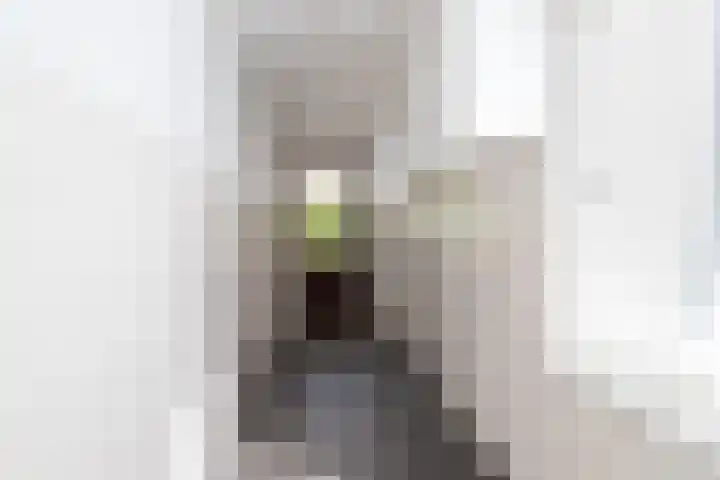 Millinghaweg 14 Niekerk thumbnail 14