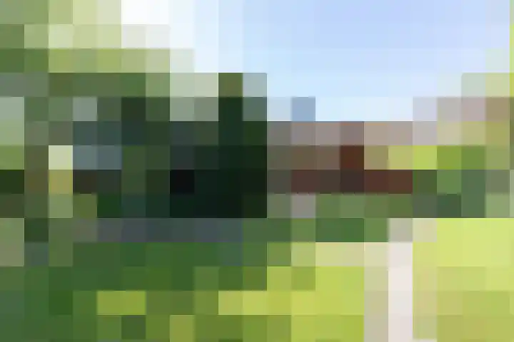 Millinghaweg 14 Niekerk thumbnail 21