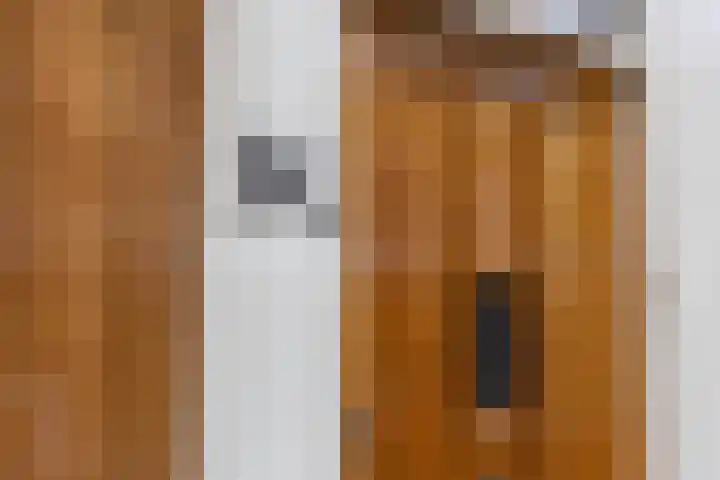 Millinxstraat 76 B Rotterdam thumbnail 9