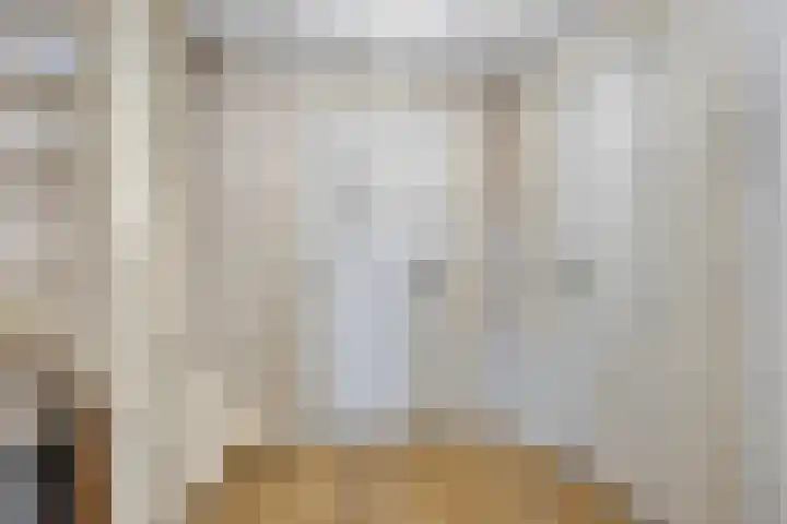 Millsebaan 32 Uden thumbnail 24