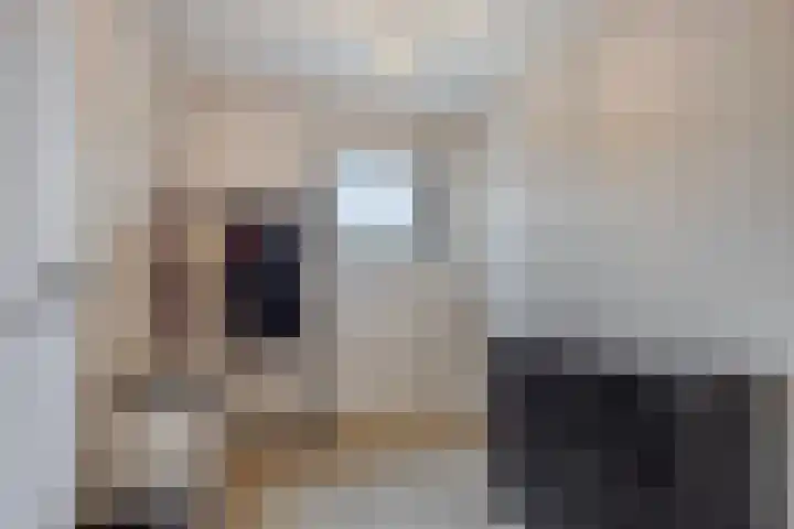 Millsebaan 32 Uden thumbnail 25