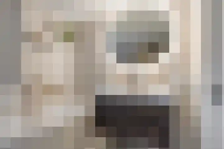 Millsebaan 32 Uden thumbnail 31