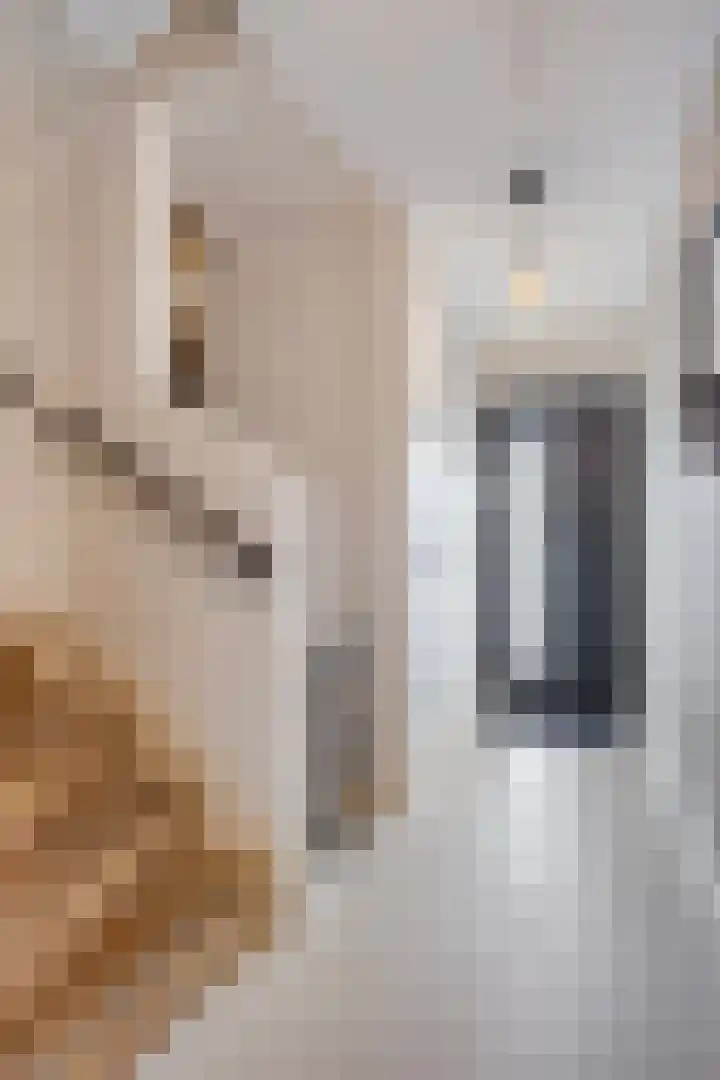 Millsebaan 32 Uden thumbnail 7