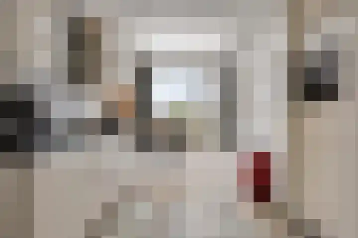 Millsebaan 65 Uden thumbnail 13