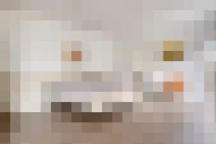 Millsebaan 65 Uden thumbnail 21