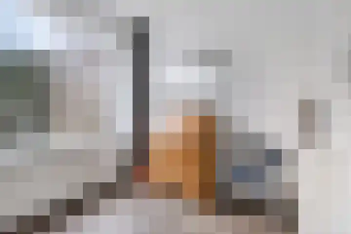 Millsebaan 65 Uden thumbnail 29