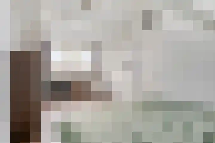 Millsebaan 65 Uden thumbnail 33