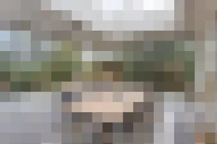 Millsebaan 65 Uden thumbnail 38