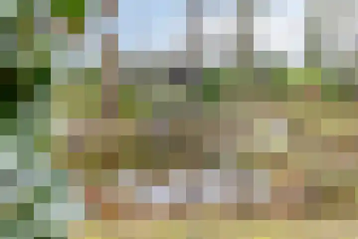 Millsebaan 65 Uden thumbnail 43