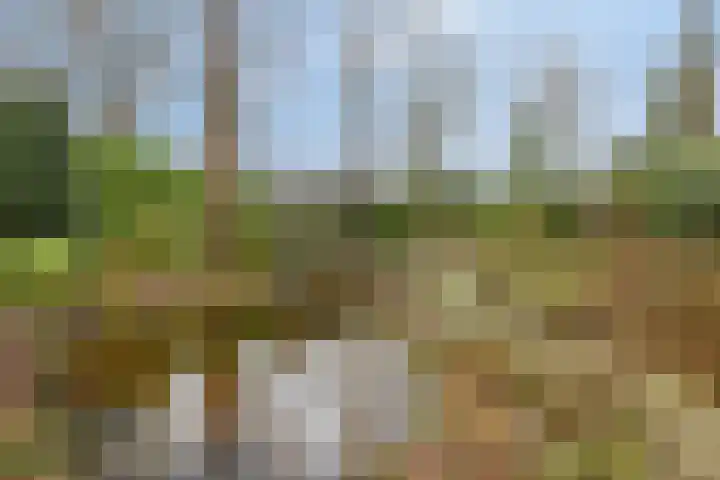 Millsebaan 65 Uden thumbnail 44
