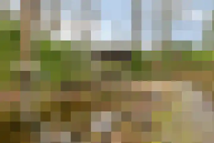 Millsebaan 65 Uden thumbnail 45