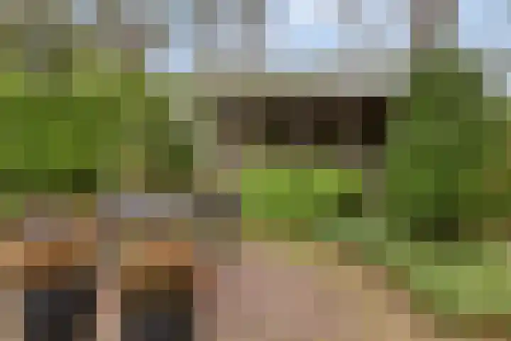 Millsebaan 65 Uden thumbnail 46