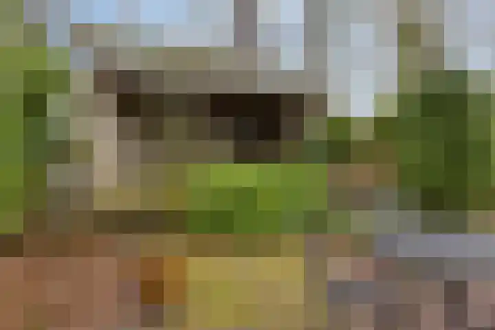 Millsebaan 65 Uden thumbnail 47